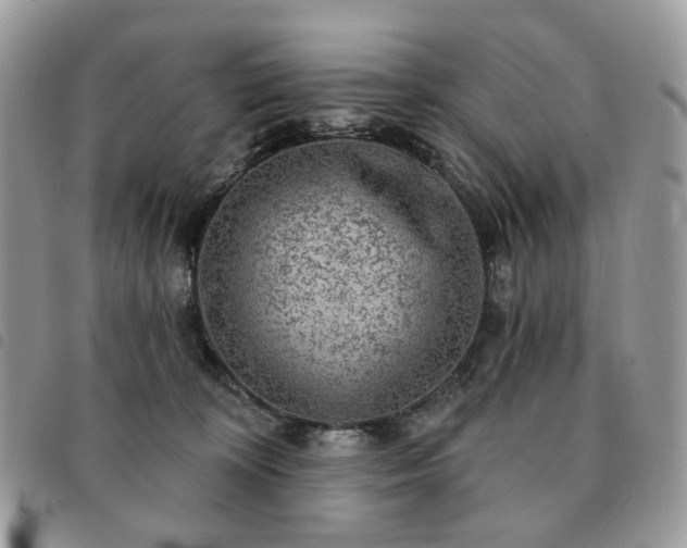 X0000091310324200708171422