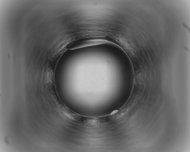 X0000091310325200708171422