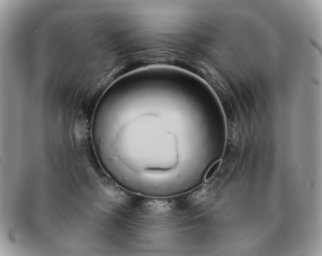 X0000091310326200708171422