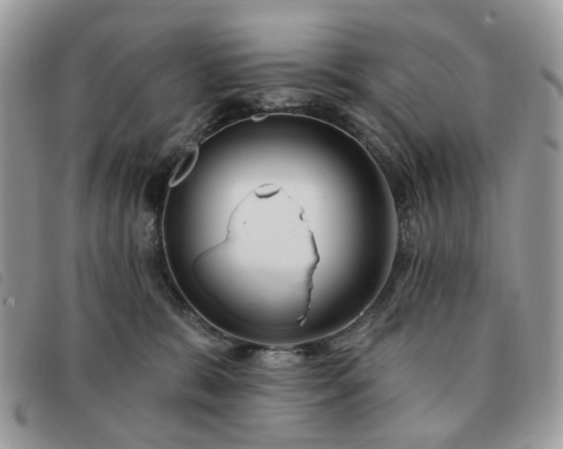 X0000091310327200708171422