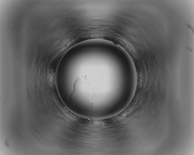 X0000091310329200708171422