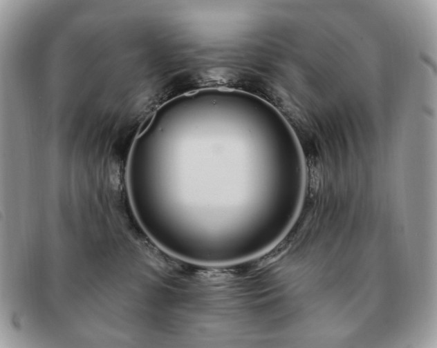 X0000091310331200708171422