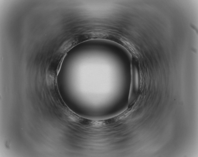 X0000091310333200708171422