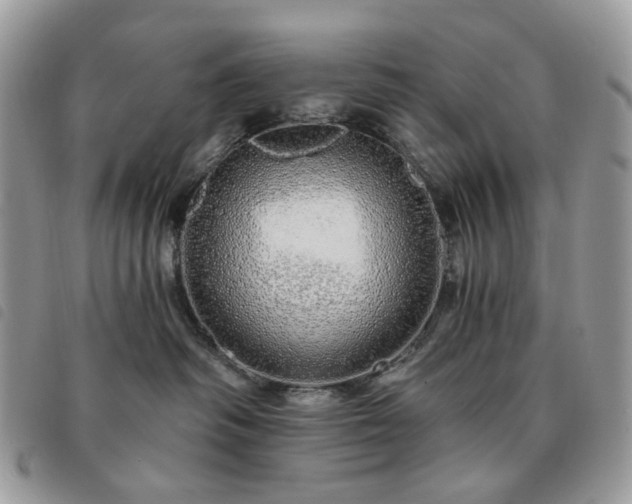 X0000091310334200708171422