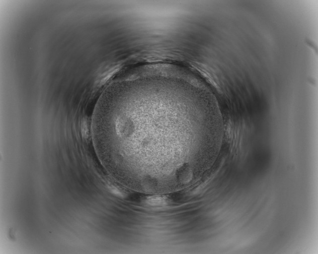 X0000091310335200708171422