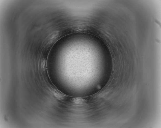 X0000091310336200708171422