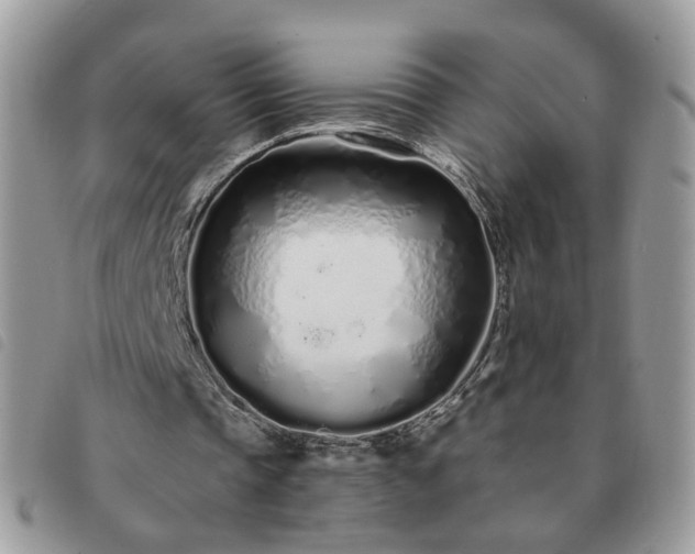 X0000091310337200708171421