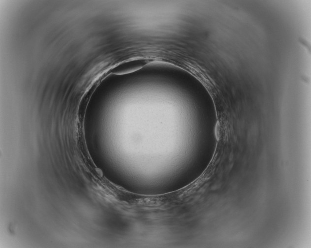 X0000091310338200708171421