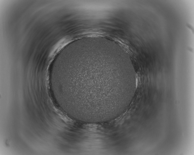 X0000091310339200708171421