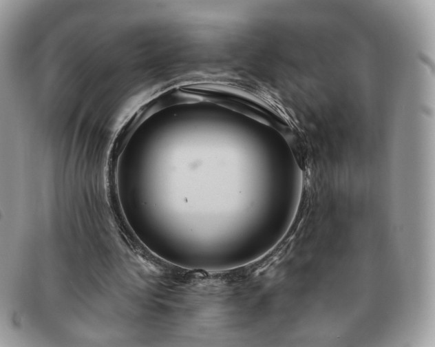 X0000091310340200708171421