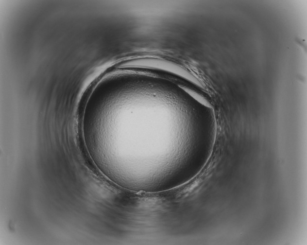 X0000091310342200708171421