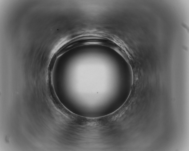 X0000091310344200708171421