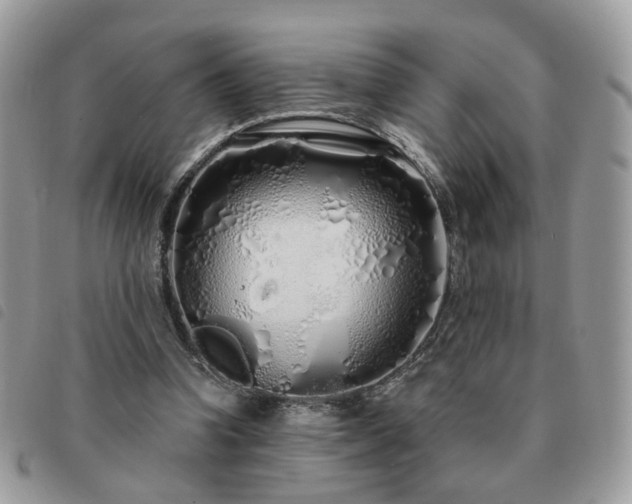 X0000091310346200708171421