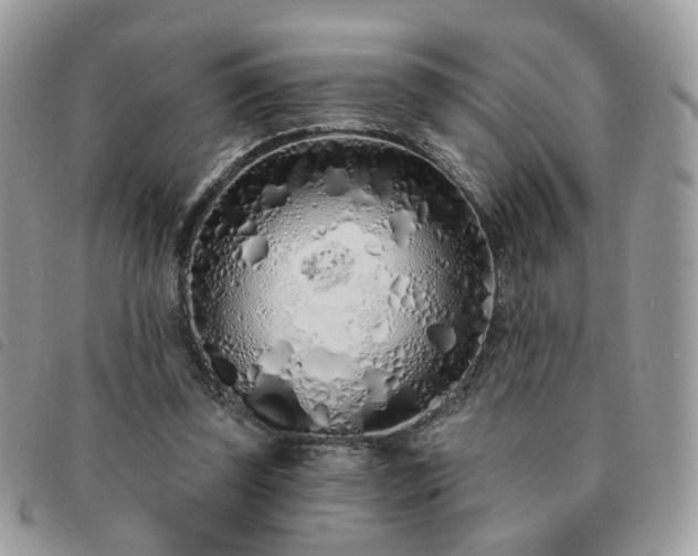 X0000091310347200708171421