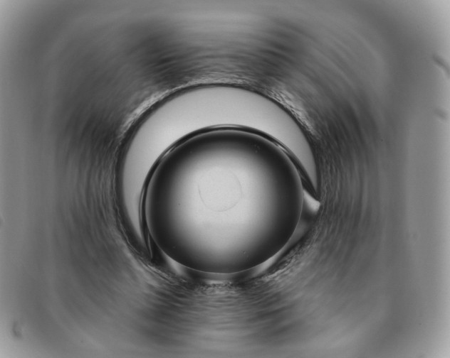 X0000091310348200708171421