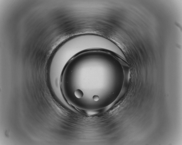 X0000091310350200708171421