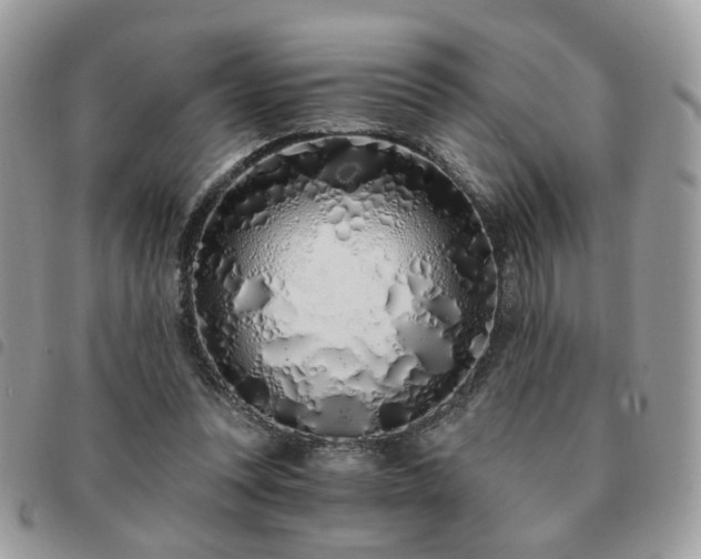 X0000091310351200708171421