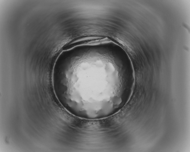 X0000091310353200708171421