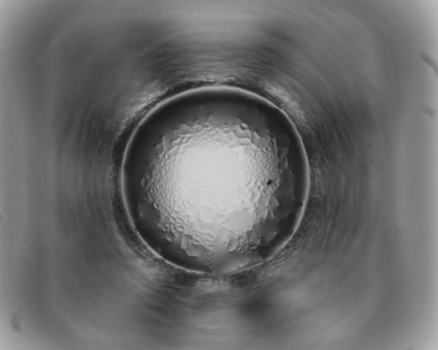 X0000091310354200708171421