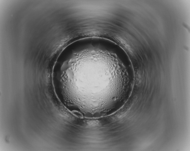 X0000091310355200708171421