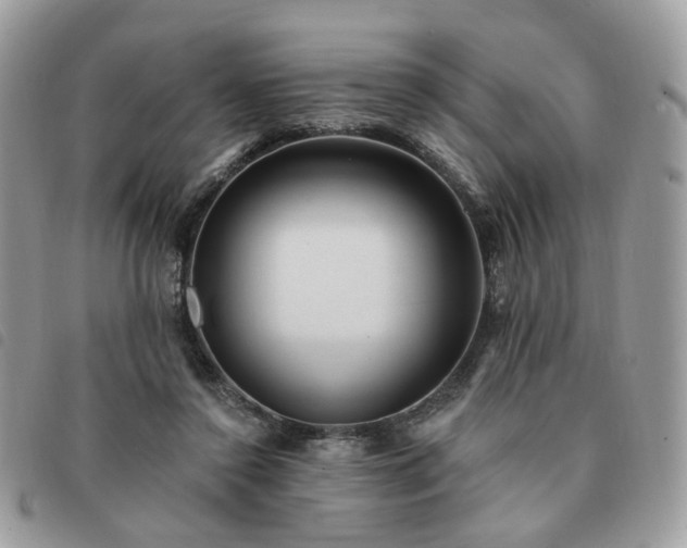 X0000091310356200708171421