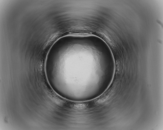 X0000091310357200708171421