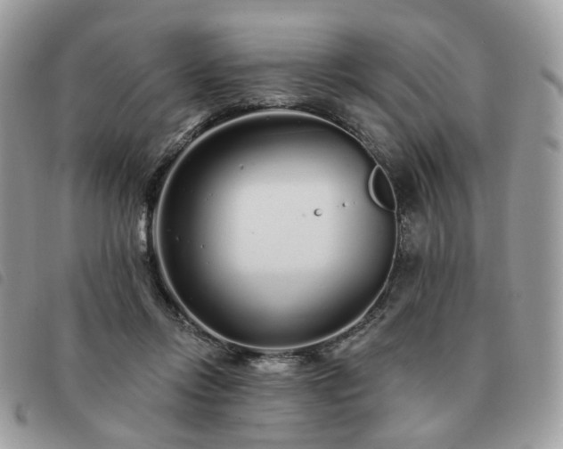 X0000091310358200708171421