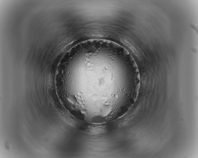 X0000091310359200708171421