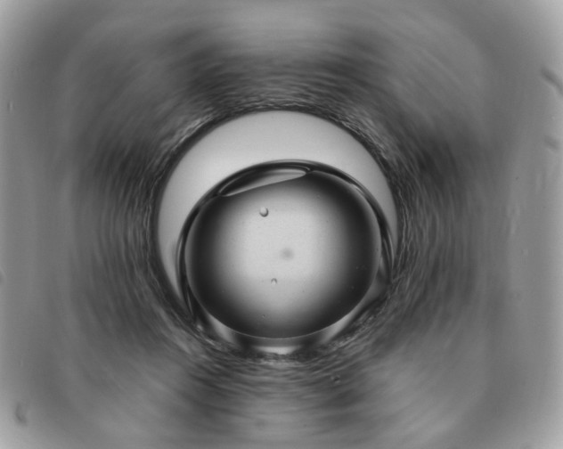 X0000091310360200708171421