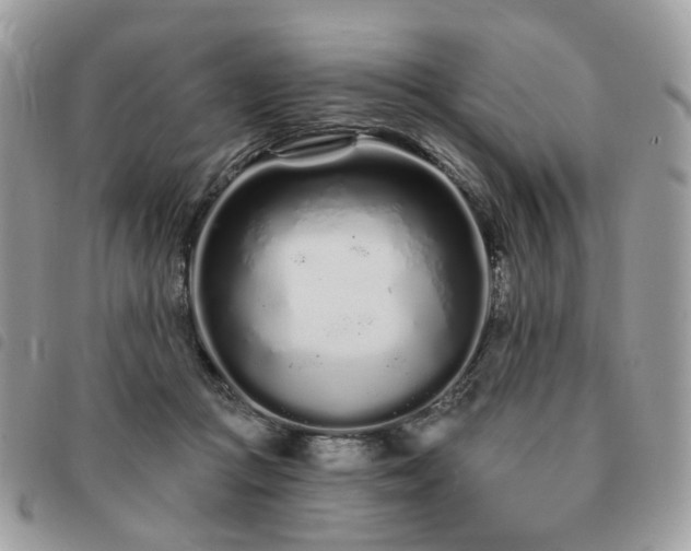 X0000091310361200708171421