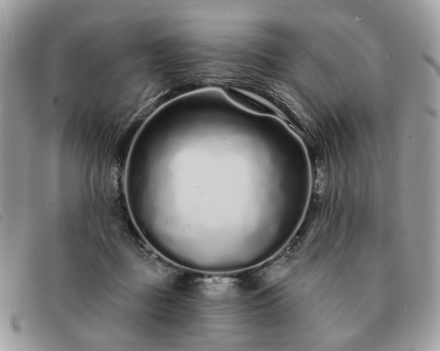 X0000091310363200708171421