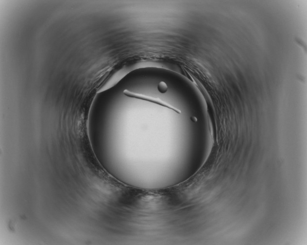 X0000091310364200708171421