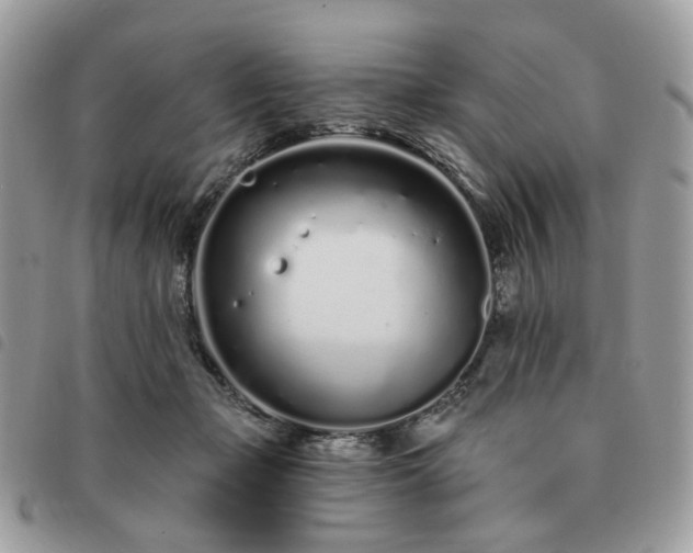 X0000091310365200708171421