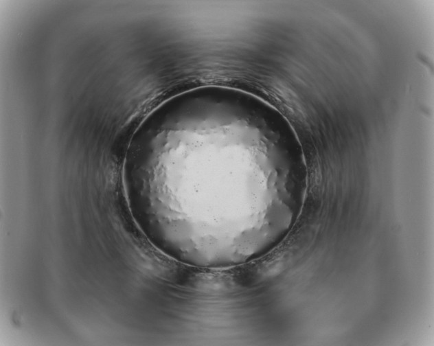 X0000091310367200708171421