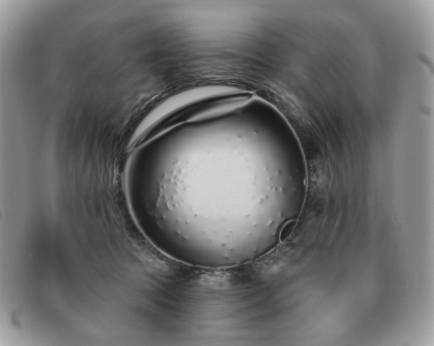 X0000091310369200708171421