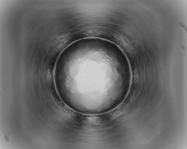 X0000091310371200708171421