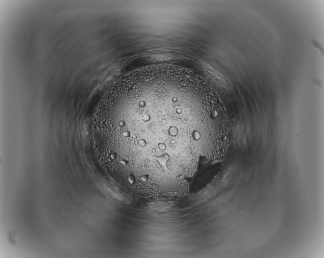 X0000091310373200708171421