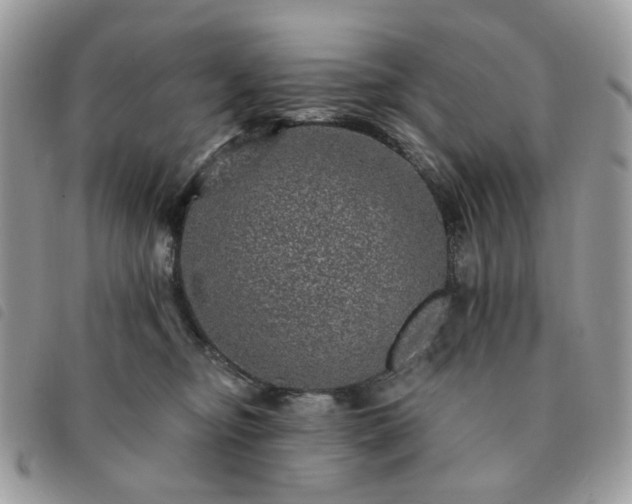 X0000091310374200708171421