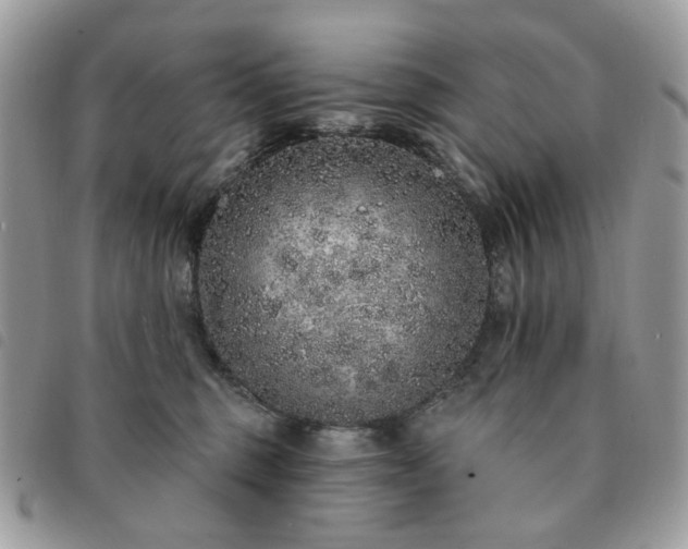 X0000091310375200708171421