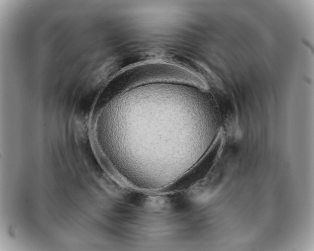 X0000091310376200708171421