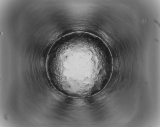 X0000091310377200708171421