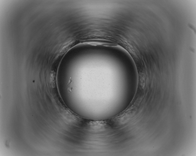 X0000091310378200708171421