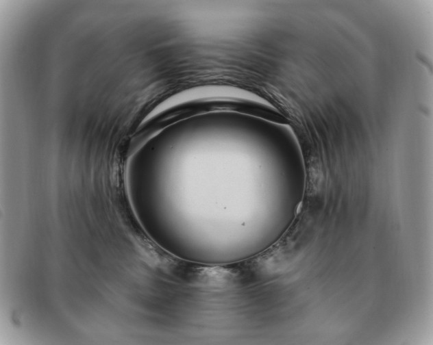 X0000091310379200708171421