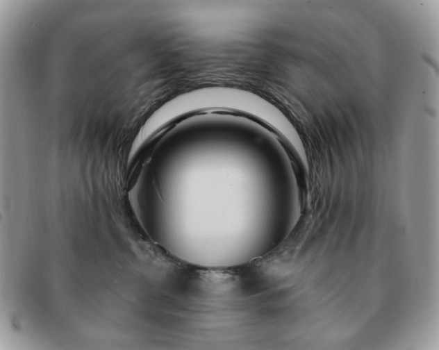 X0000091310380200708171421