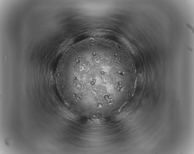 X0000091310381200708171421