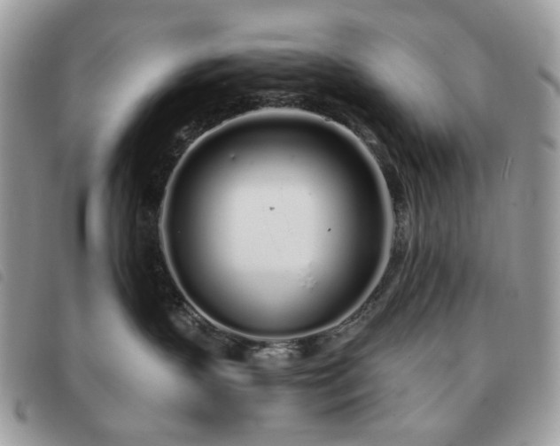 X0000091310383200708171422