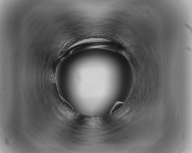 X0000091310384200708171422