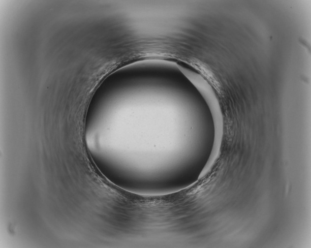 X0000091310385200708171421