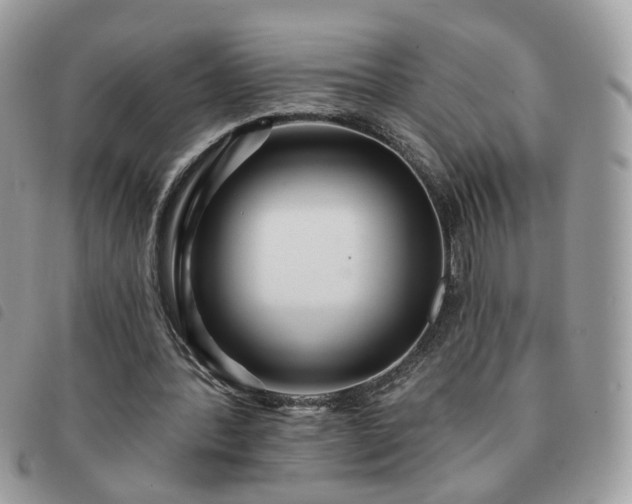 X0000091310388200708171421