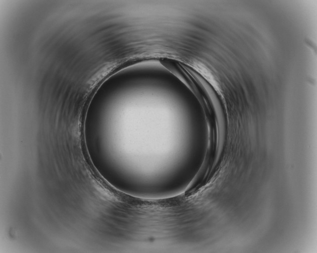 X0000091310389200708171421